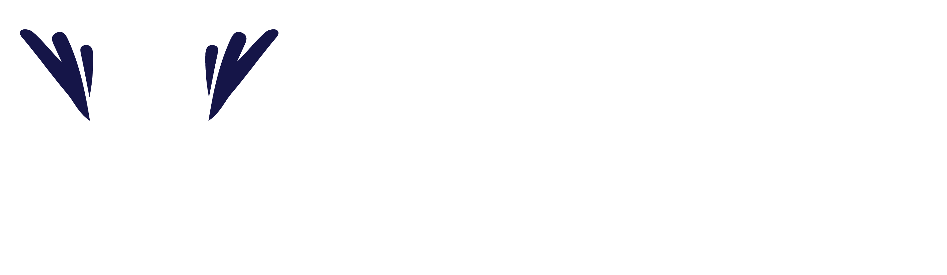 WERC Online Sistemas